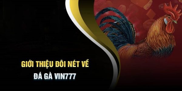 Đá gà online tại Vin777